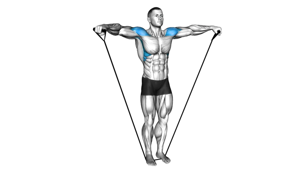 Lateral Raise (Band)