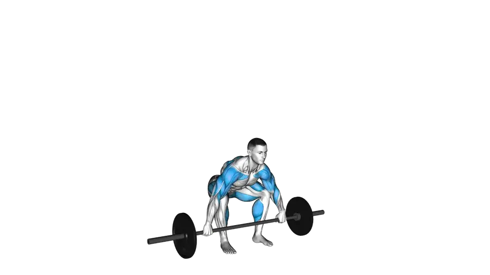 Hang Snatch exercise demonstration