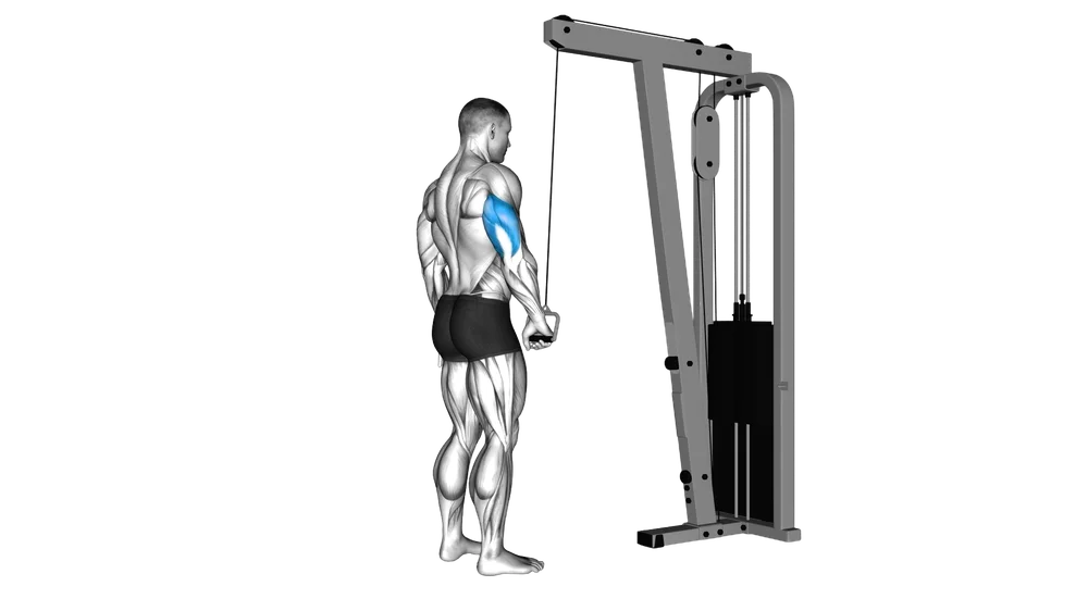 Single-Arm Tricep Pushdown (Cable)