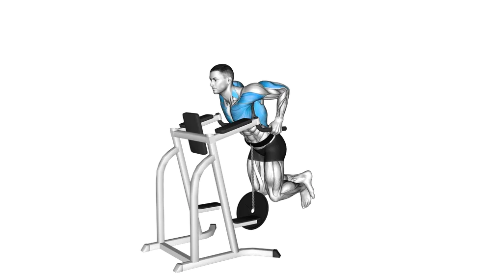 Weighted Tricep Dip