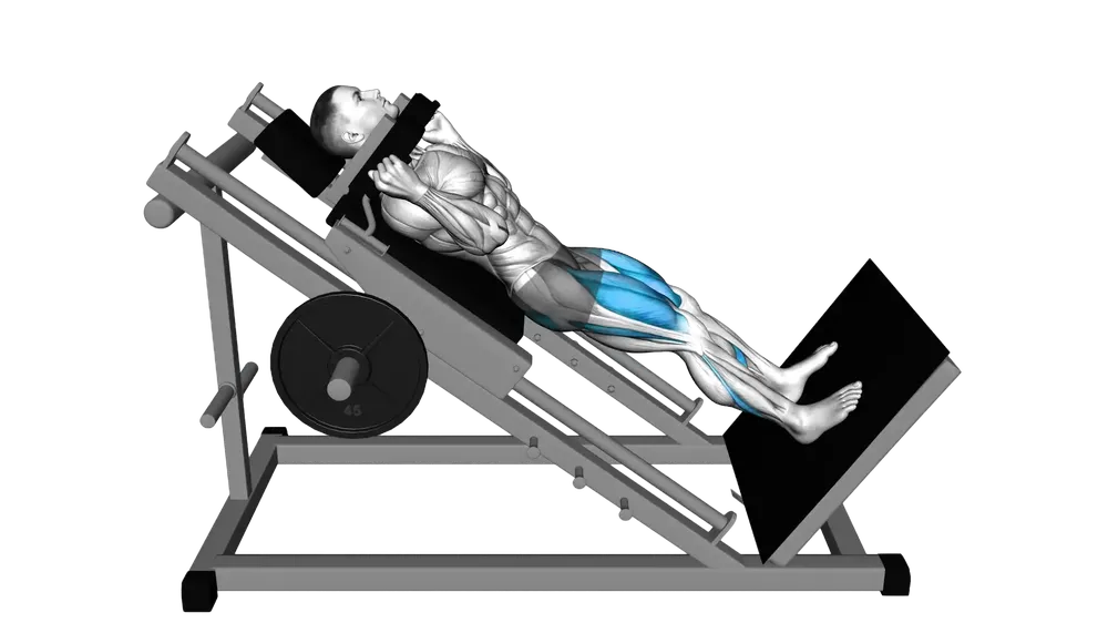 Hack Squat Machine
