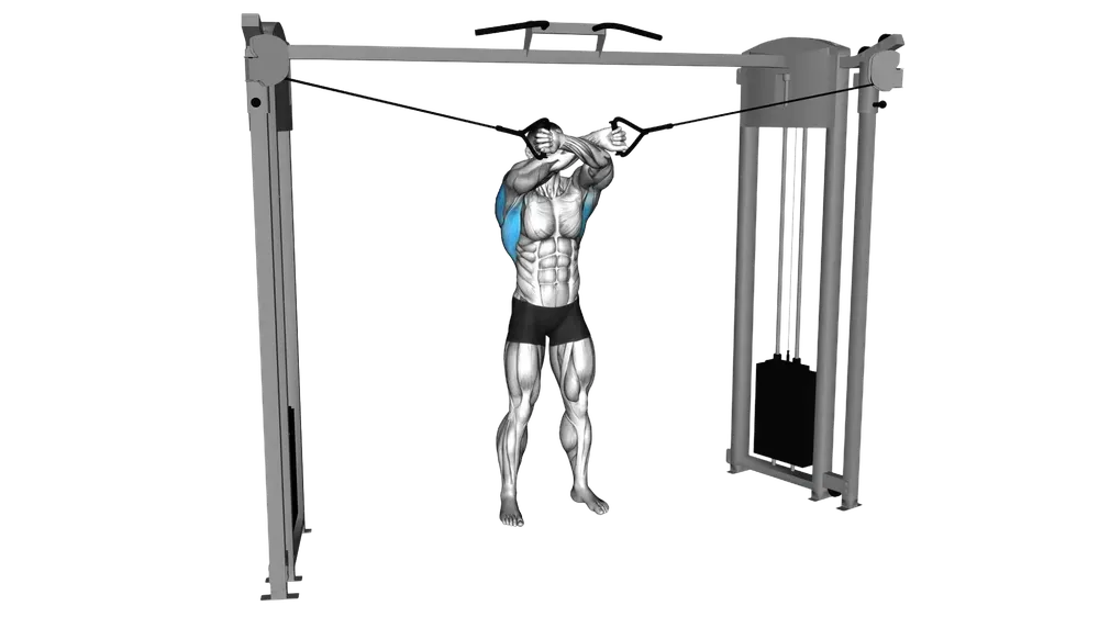 Lat Pulldown Full Range