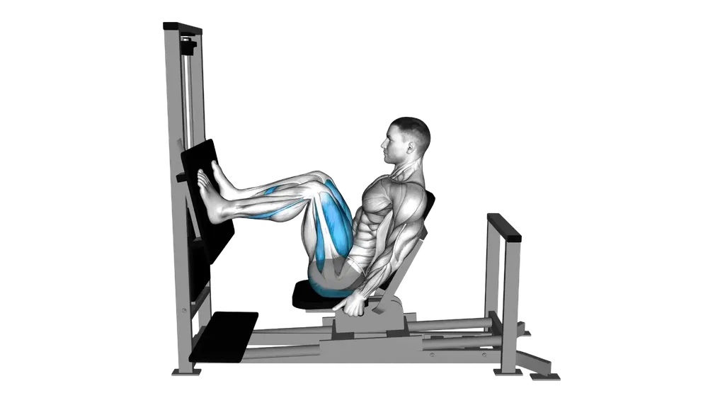 Leg Press