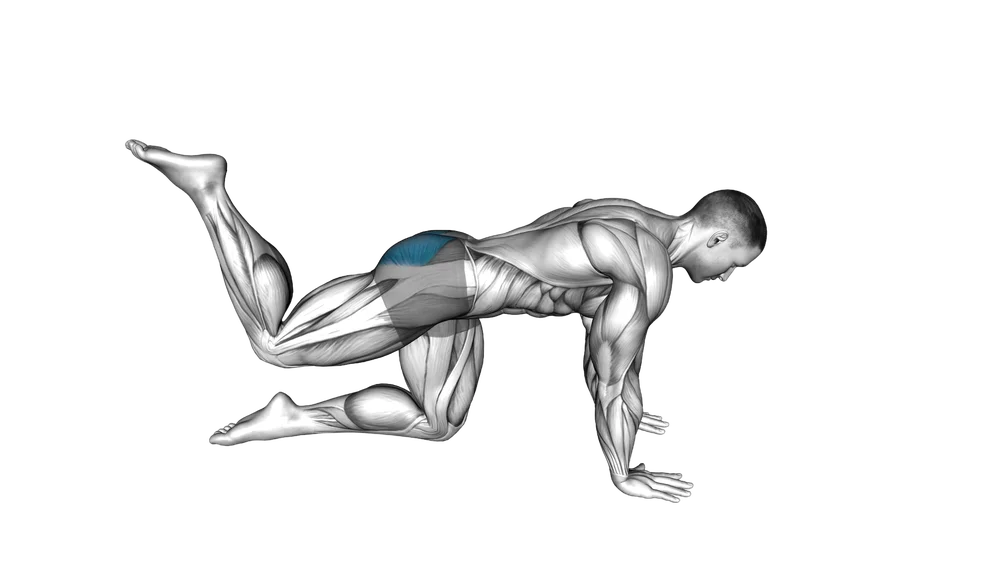 Glute Kickback (Floor)
