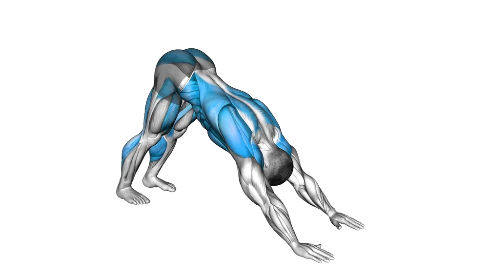 Downward Dog