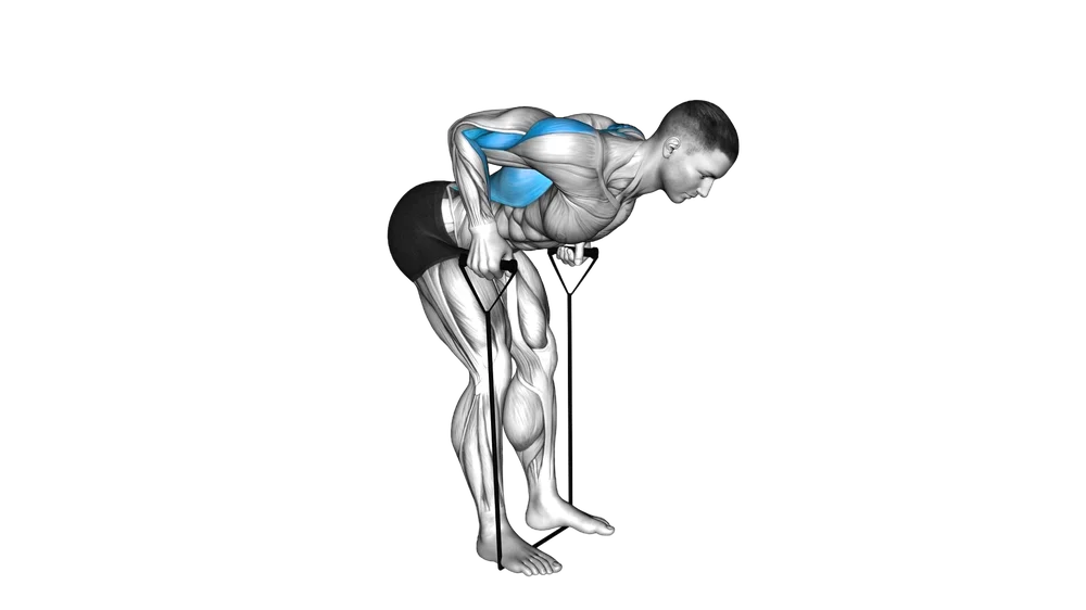 Bent Over Row (Band)