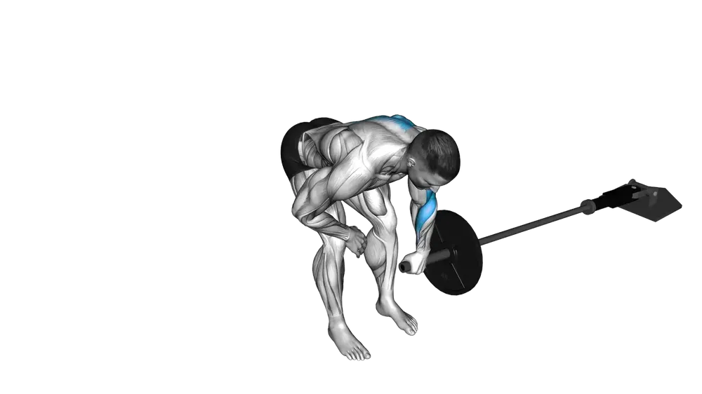 Barbell Meadows Row