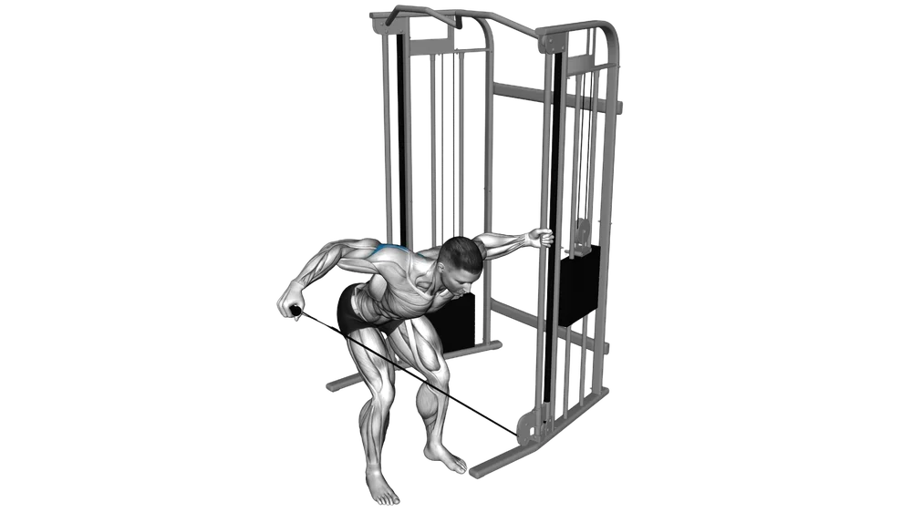 Single-Arm Reverse Fly (Cable) exercise demonstration