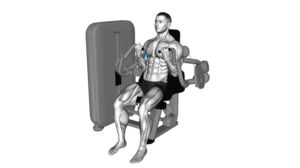 Bicep Curl (Machine)