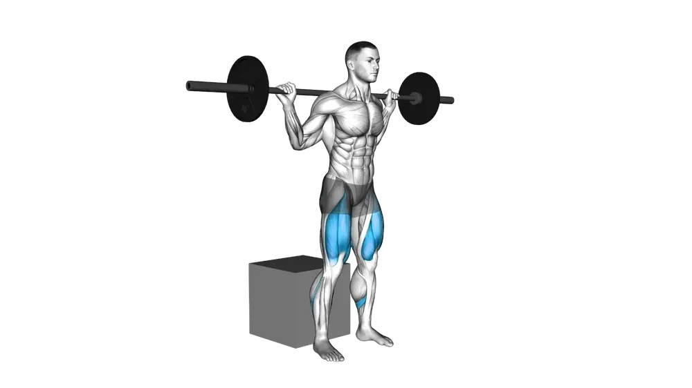 Barbell Box Squat