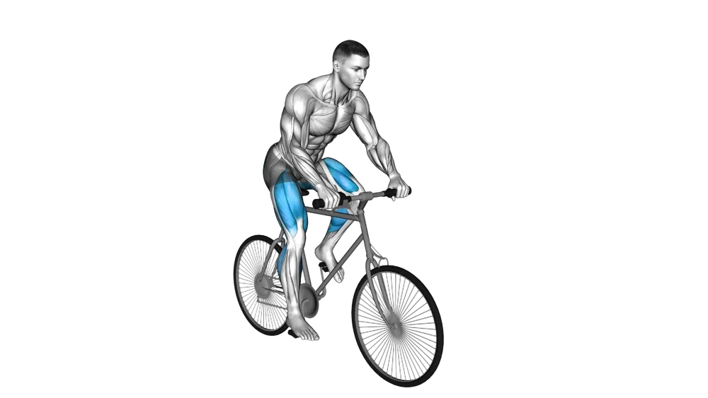 Stationary Bike