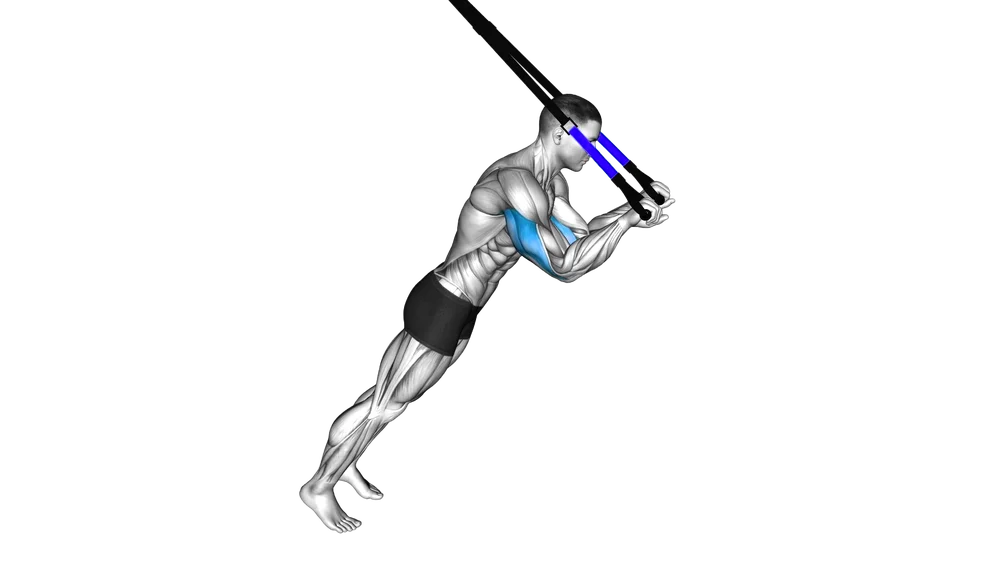 Suspension Tricep Extension