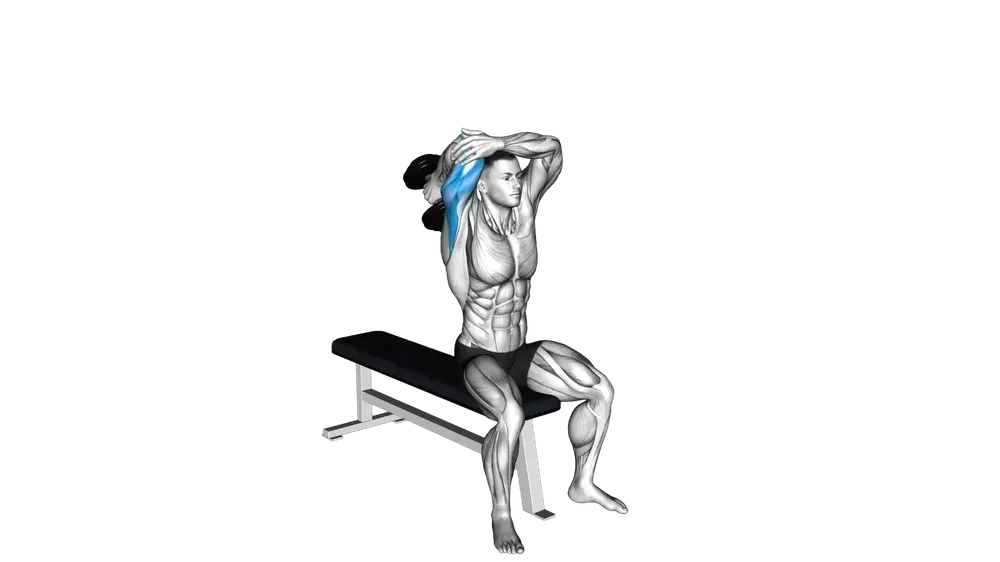 DB Overhead Tricep Extension