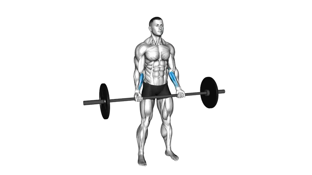 Barbell Wrist Curl
