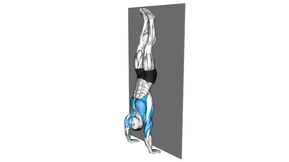 Handstand Hold