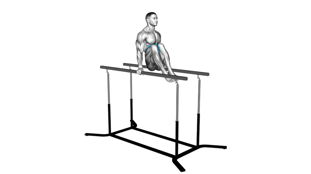 Knee Raise Parallel Bars