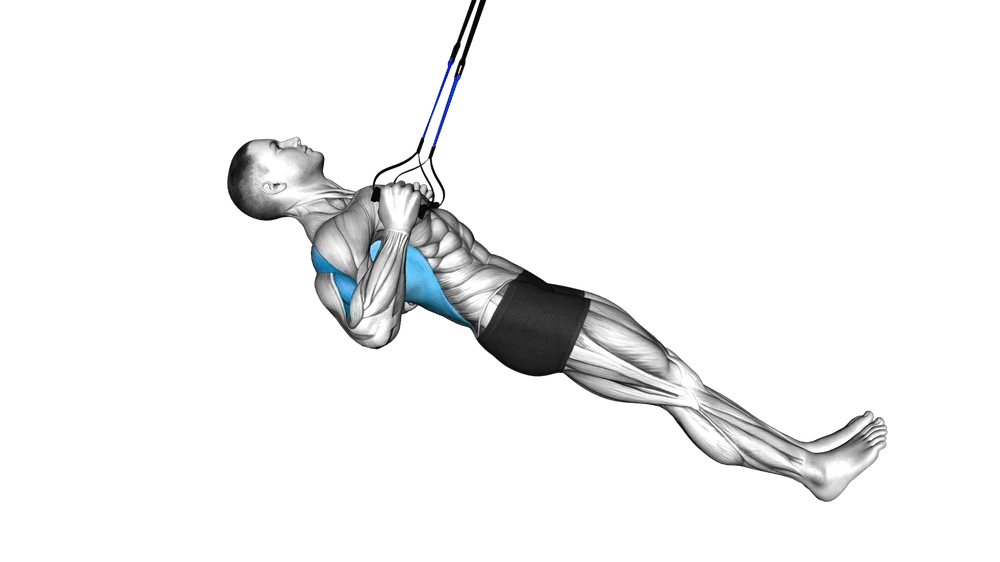 Low Row (Suspension)