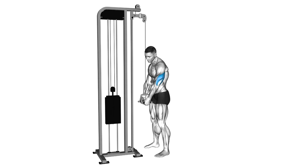 Tricep Pressdown