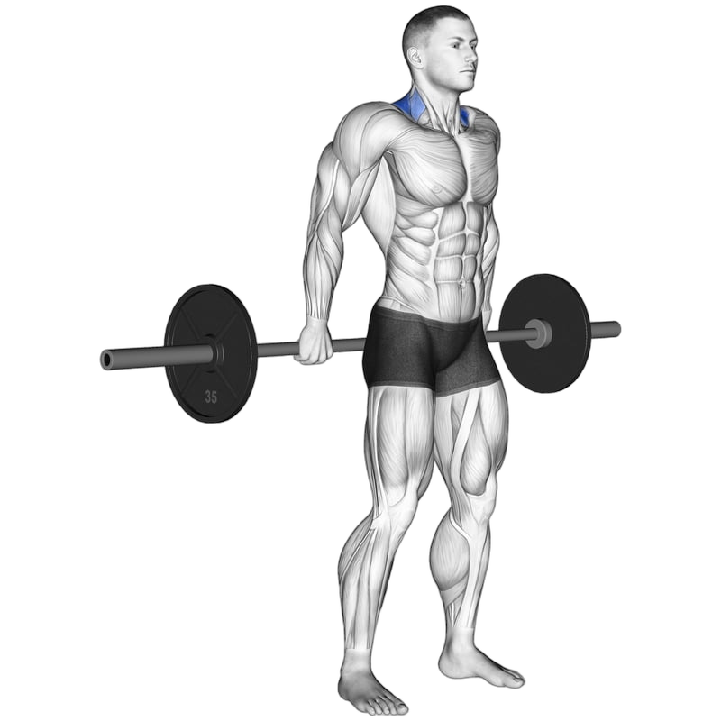 Barbell Behind The Back Shrug