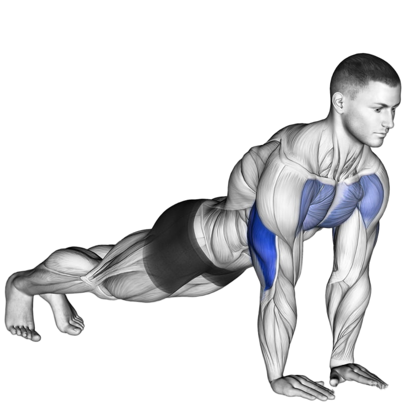 Tricep Push Up exercise demonstration