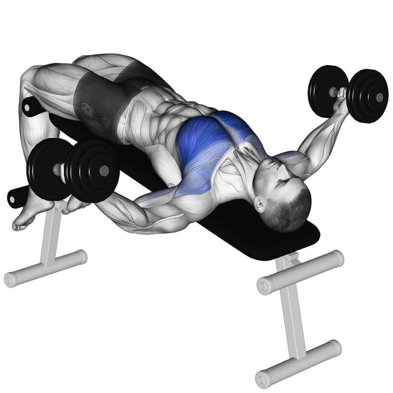 Dumbbell Decline Fly exercise demonstration