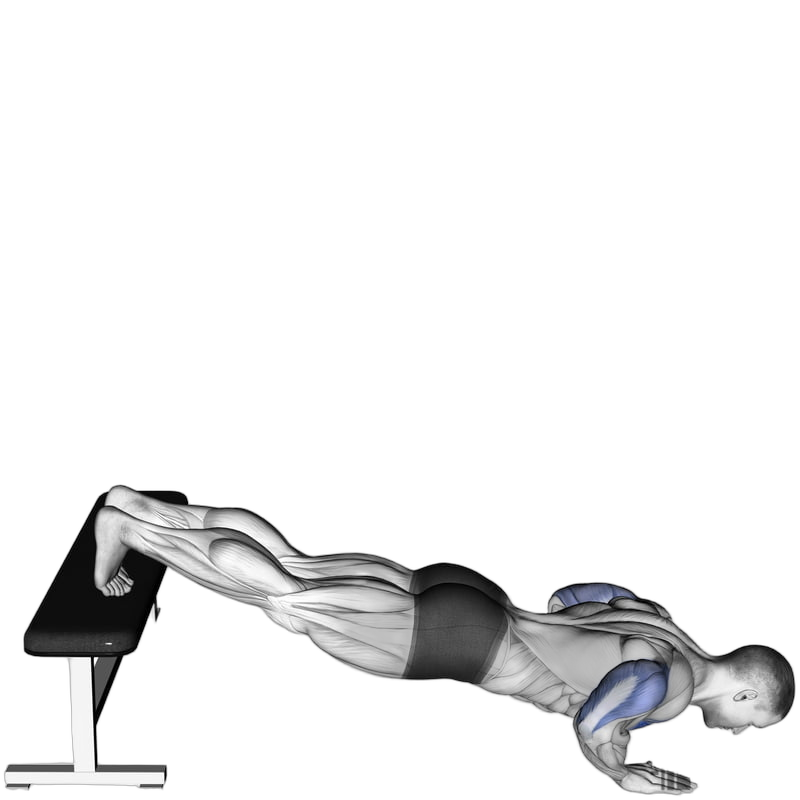 Decline Push Up
