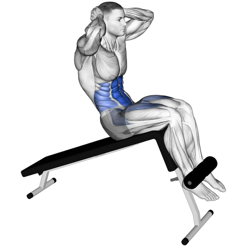 Decline Sit Up