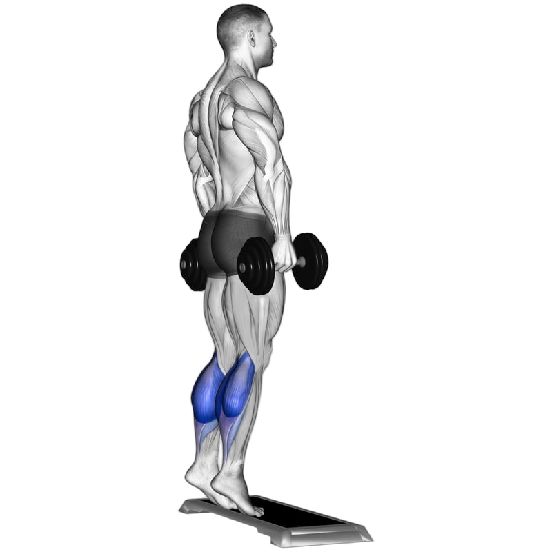 Standing Dumbbell Calf Raise