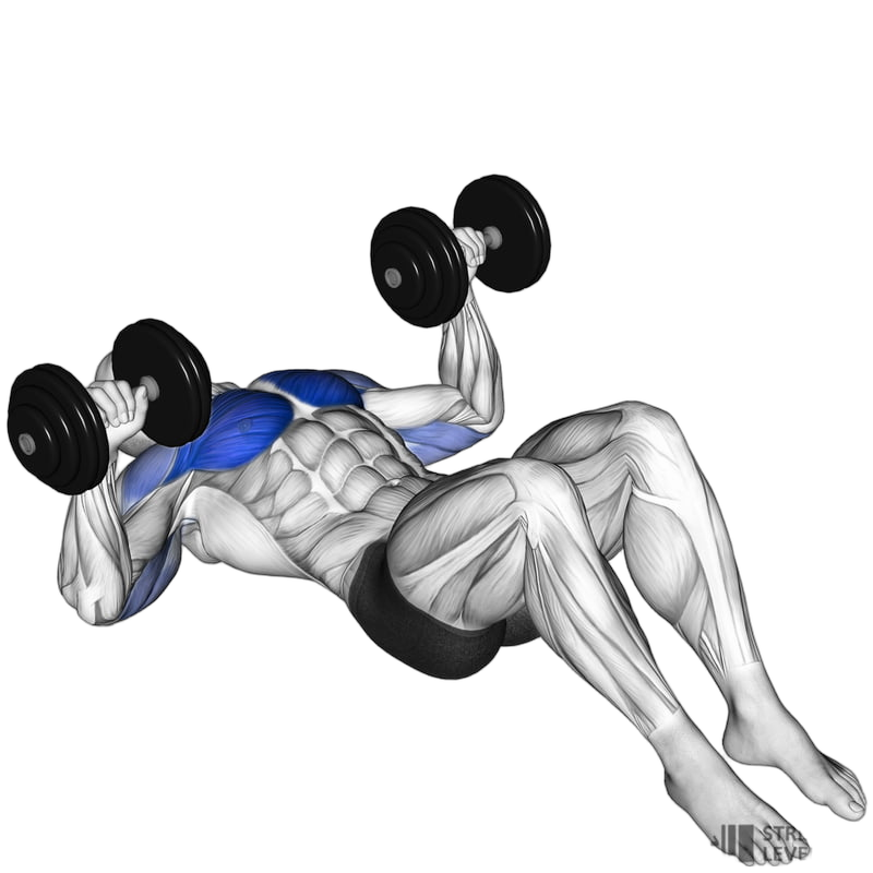 Dumbbell Floor Press exercise demonstration