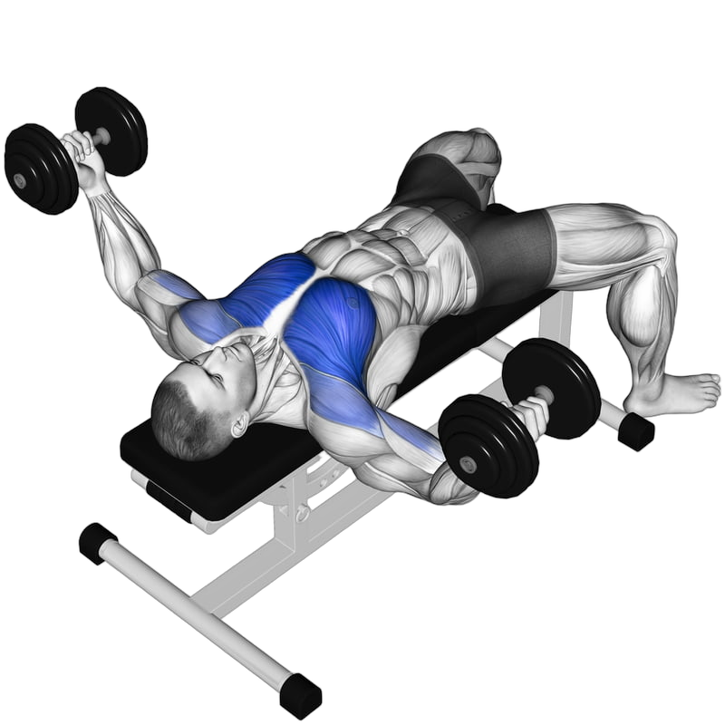 Dumbbell Fly exercise demonstration