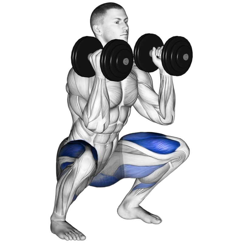 Dumbbell Goblet Squat