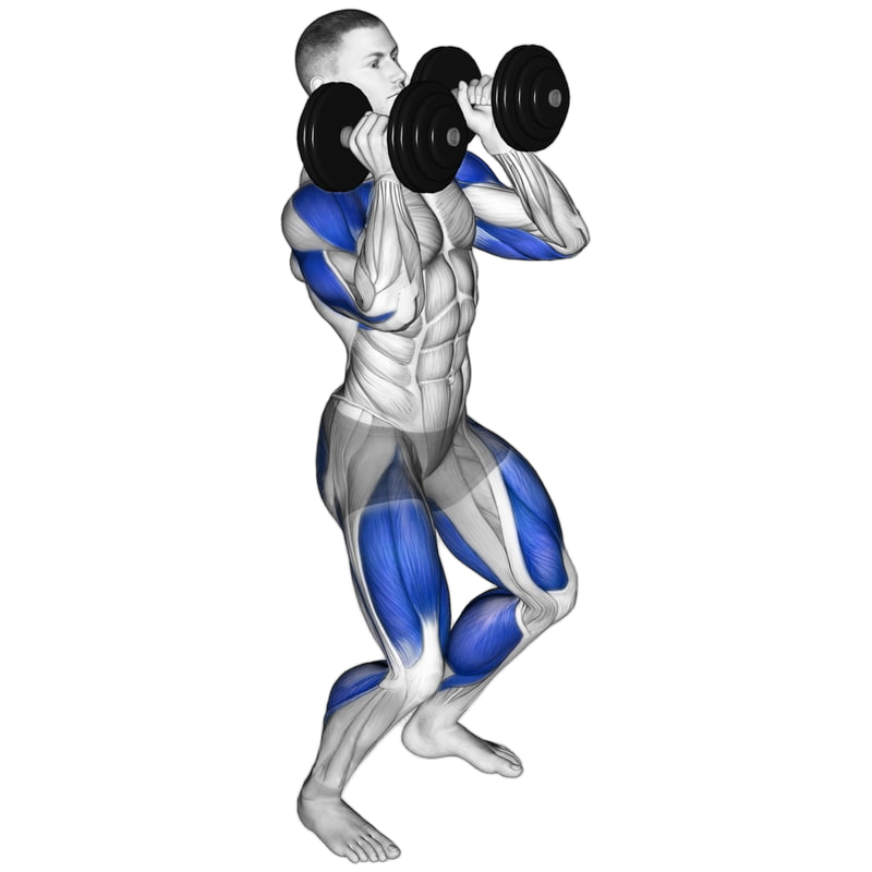 Dumbbell Hang Power Clean
