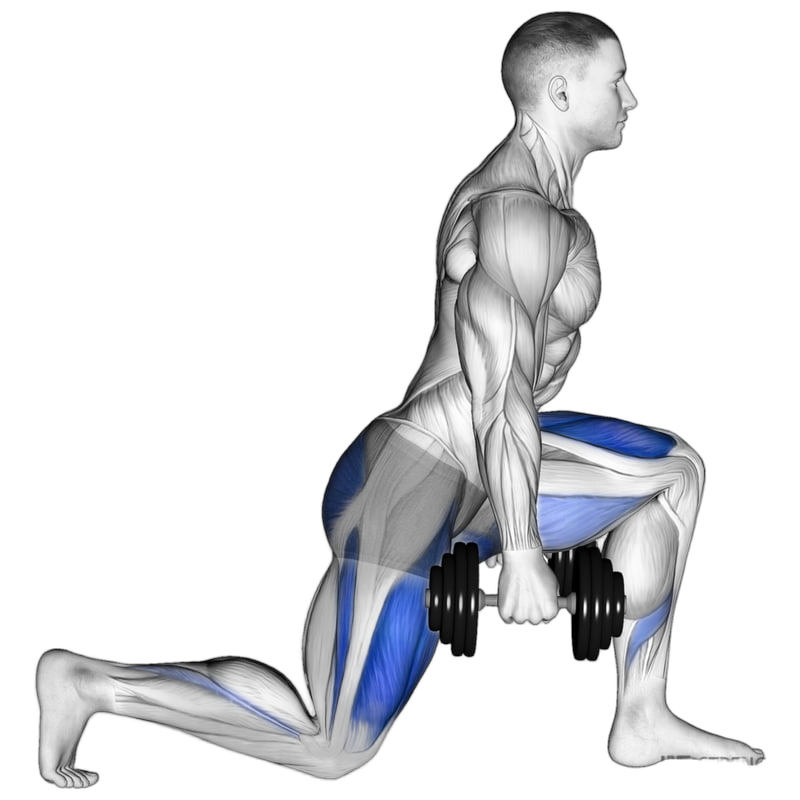 Dumbbell Lunge