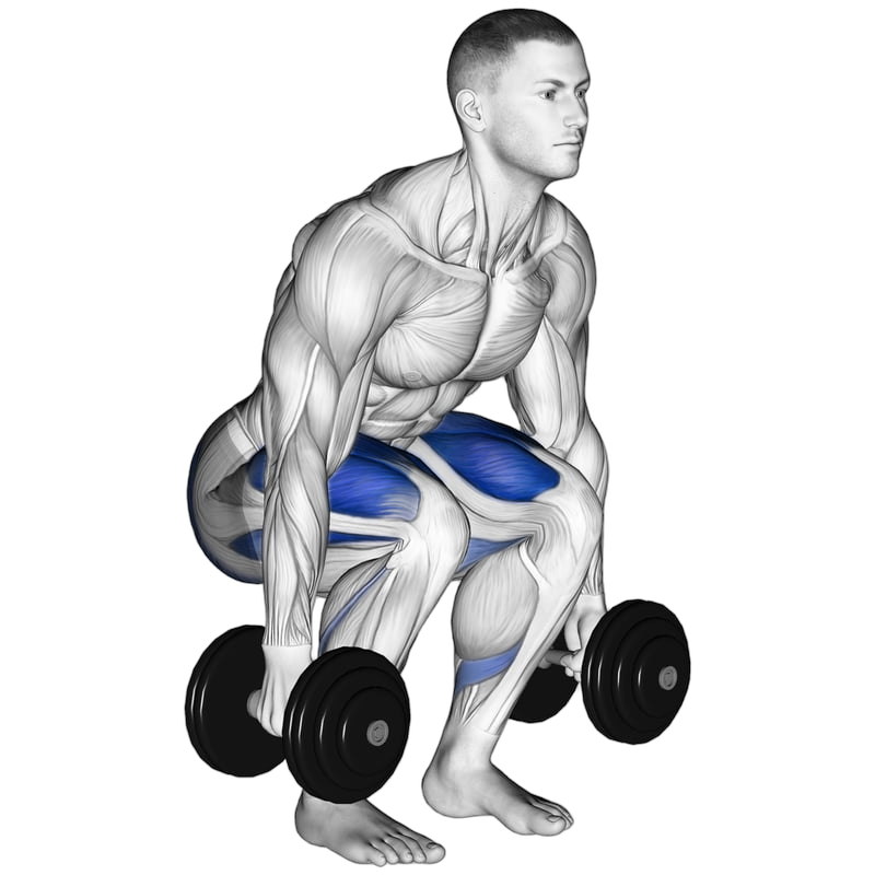 Dumbbell Squat