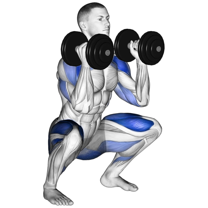 Dumbbell Thruster exercise demonstration