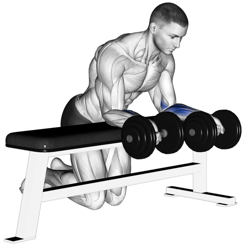 Dumbbell Wrist Curl