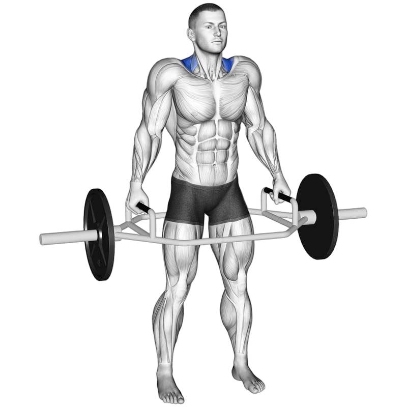 Trap Bar Shrugs