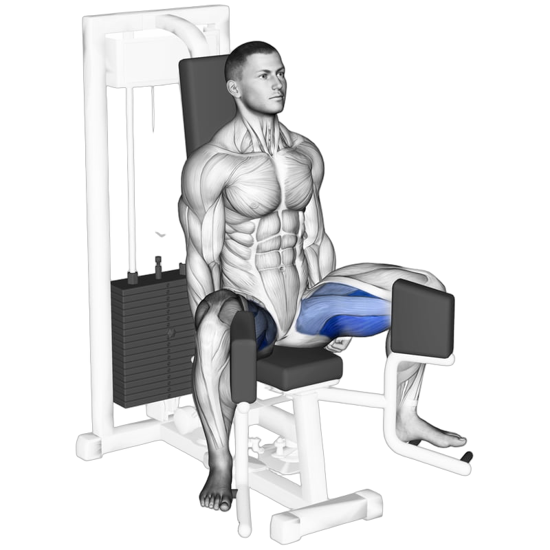 Hip Adductor Machine