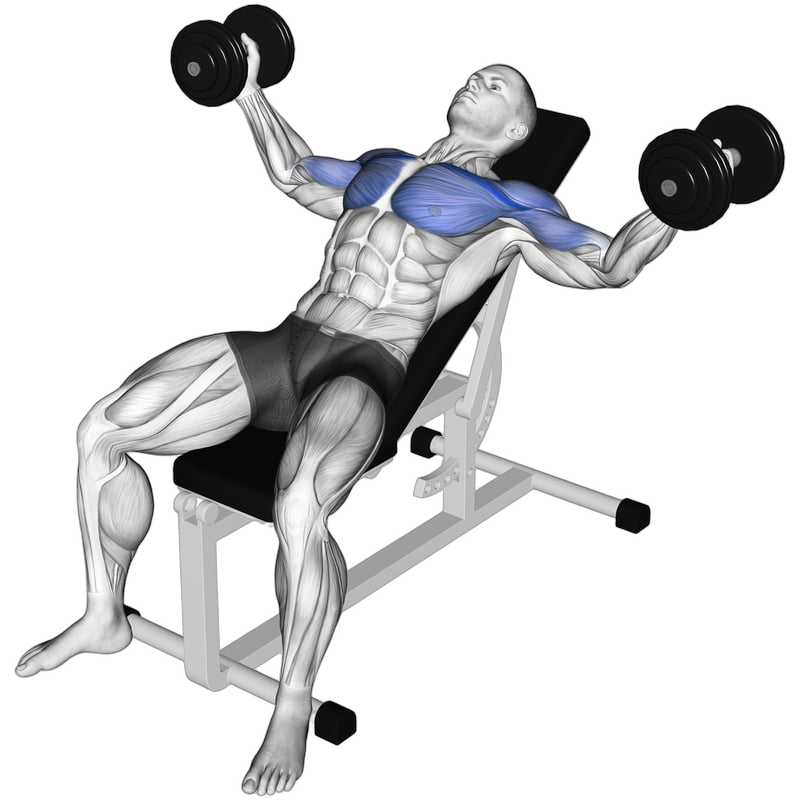 Dumbbell Incline Fly