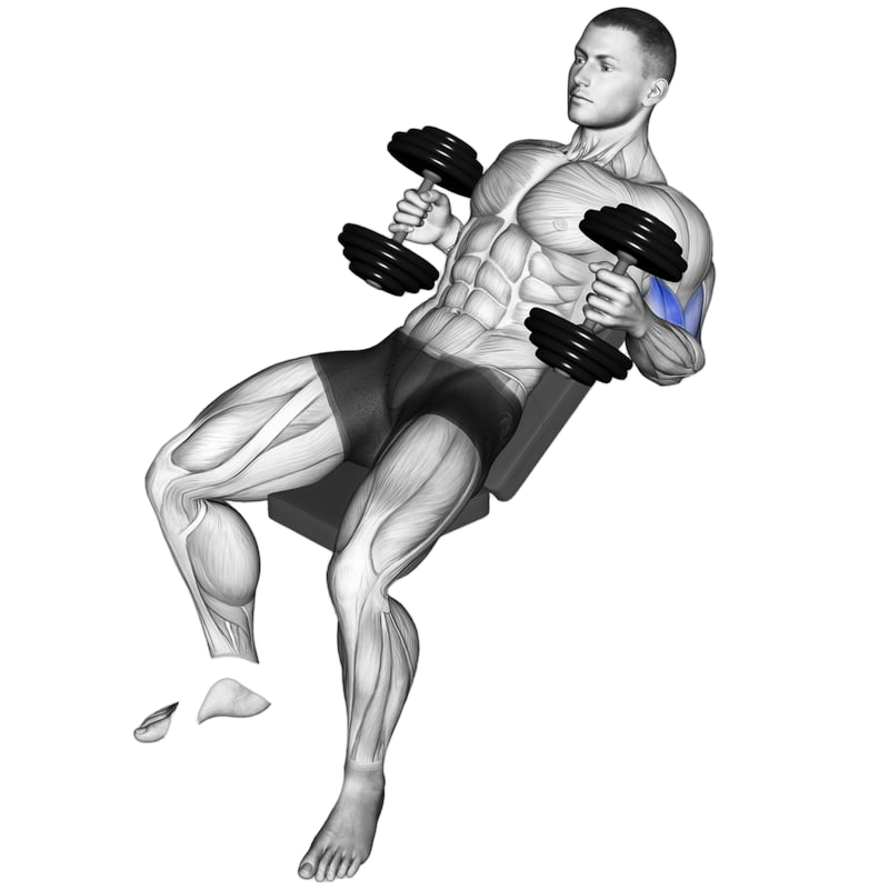 Incline Hammer Curl