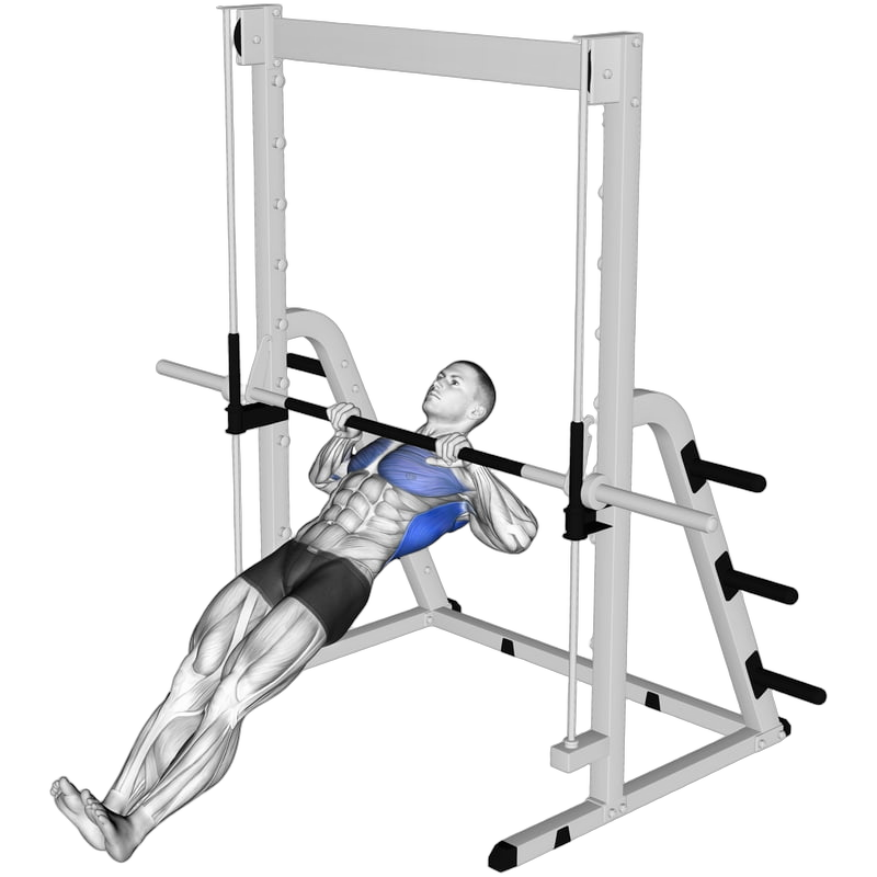 Inverted Row