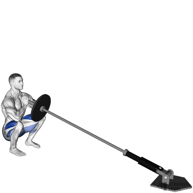 Landmine Squat