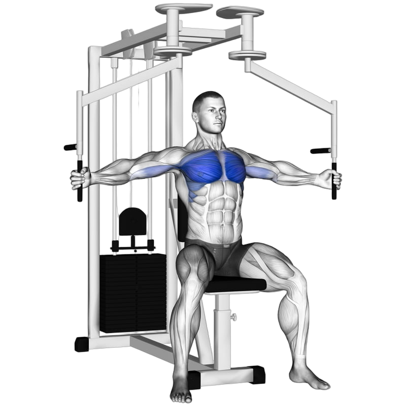 Pec Fly Machine