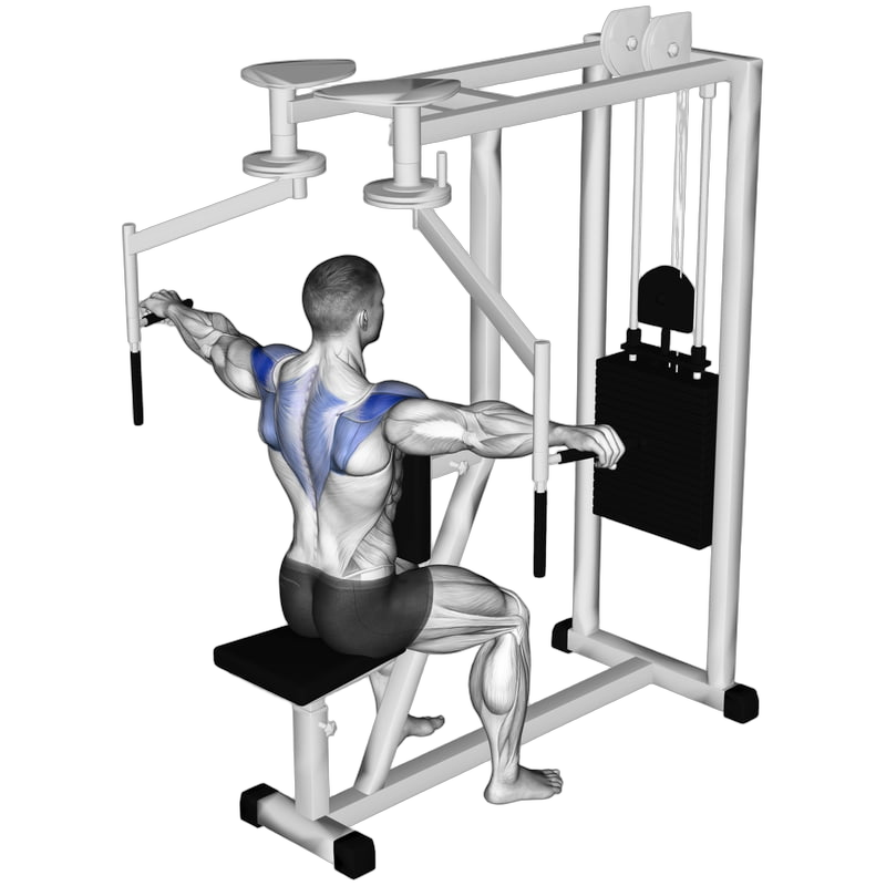 Machine Reverse Fly