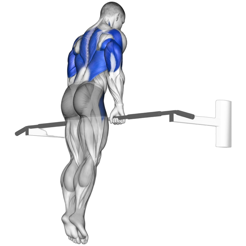 Muscle Up