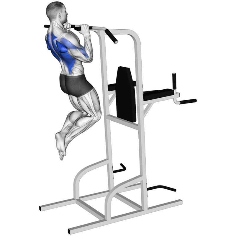 Neutral Grip Pull Up