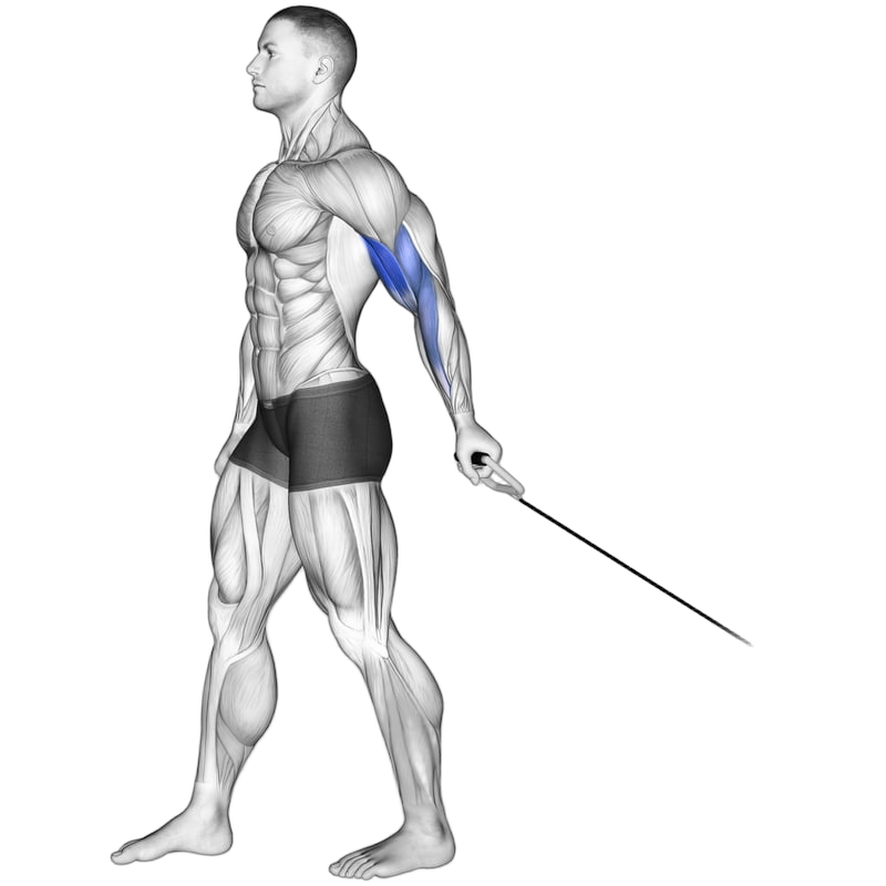 Single-Arm Cable Bicep Curl