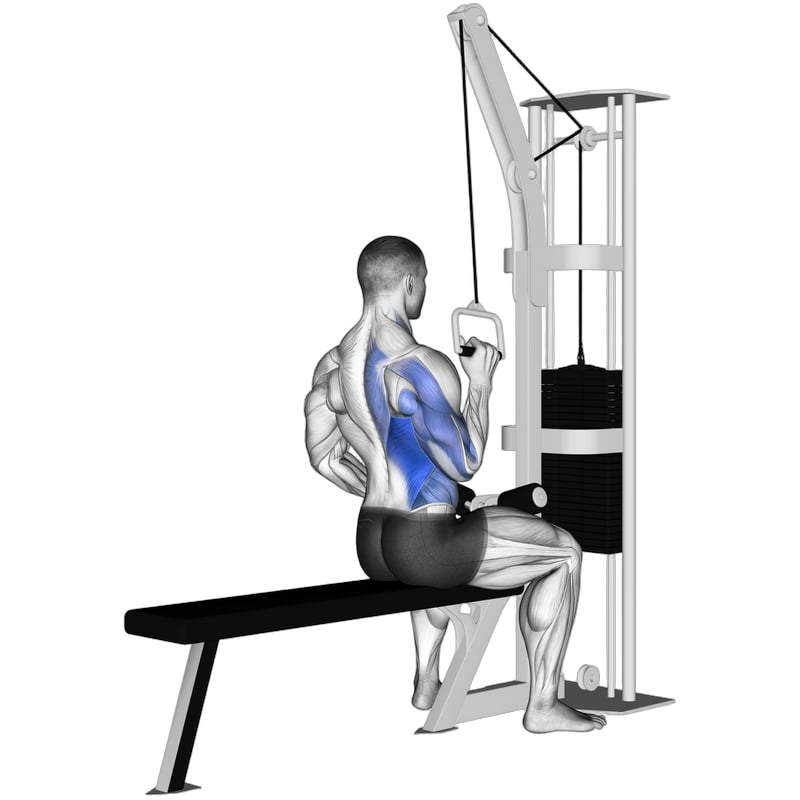 Single-Arm Lat Pulldown (Cable)