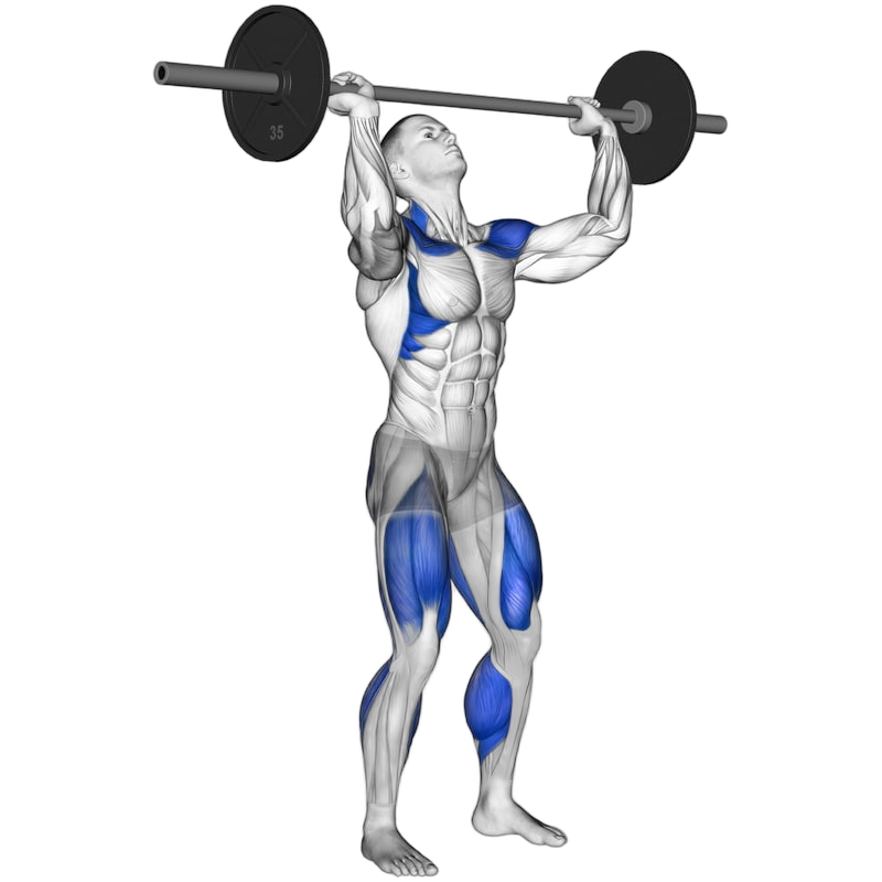 Push Jerk exercise demonstration
