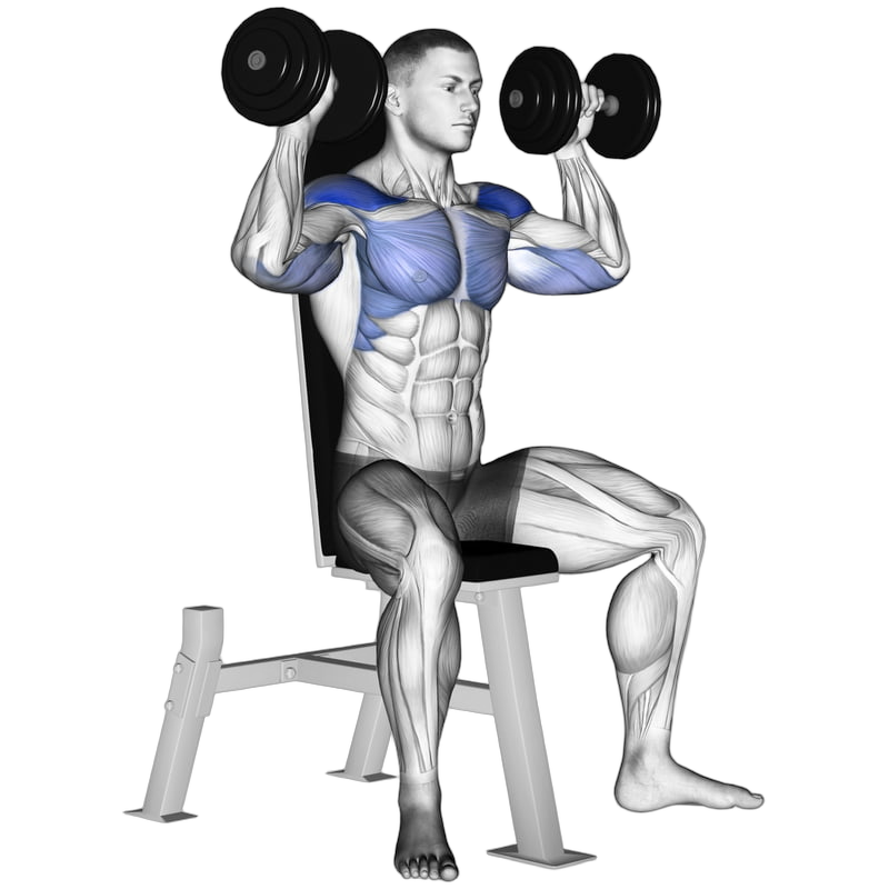 Dumbbell Shoulder Press